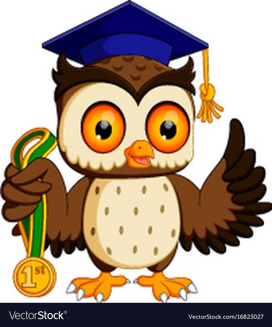 Совушка на прозрачном фоне школьные