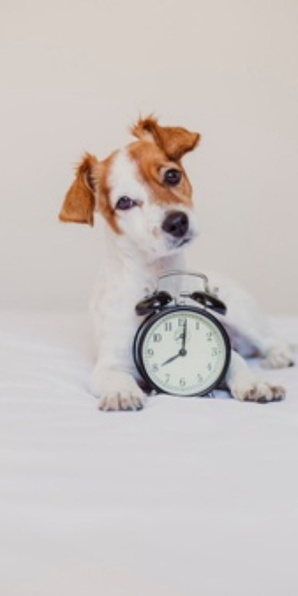 Привет утро