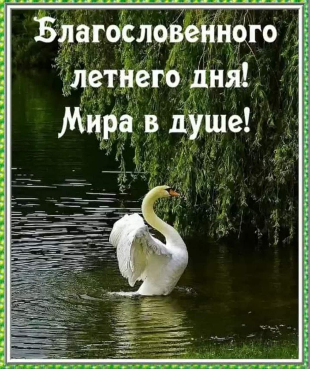 Доброе утро благословенного дня