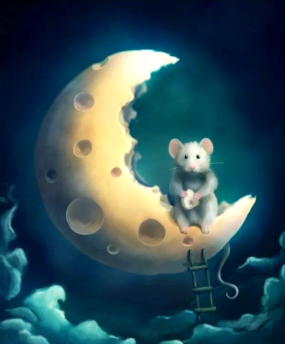 Пожелания спокойной ночи