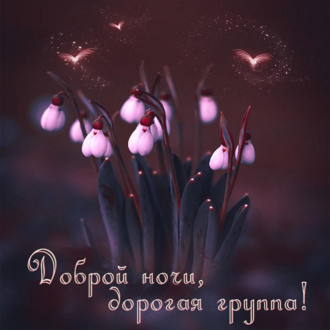 Спокойной ночи мамулечка