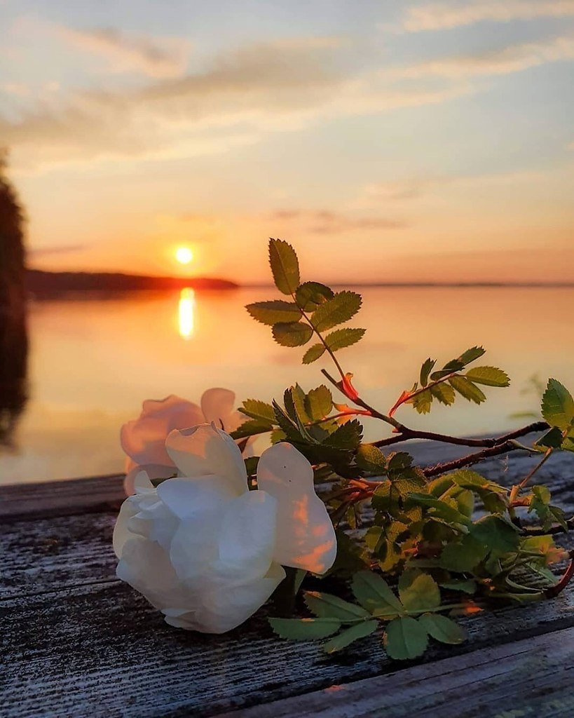 Доброе утро закат