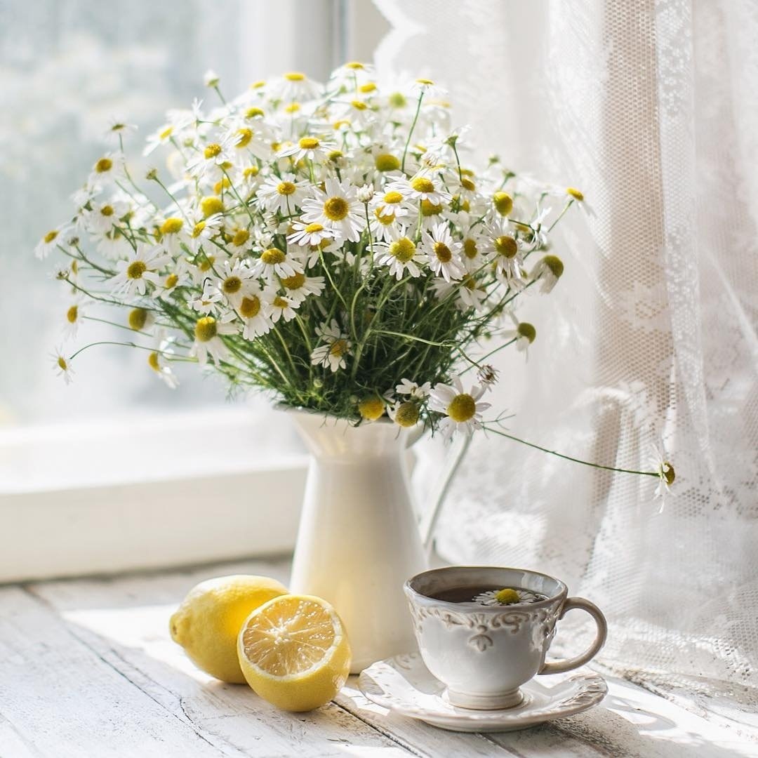 Букет ромашек на окне