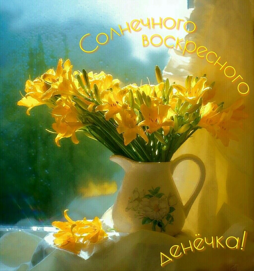 Цветы в вазе окно солнце