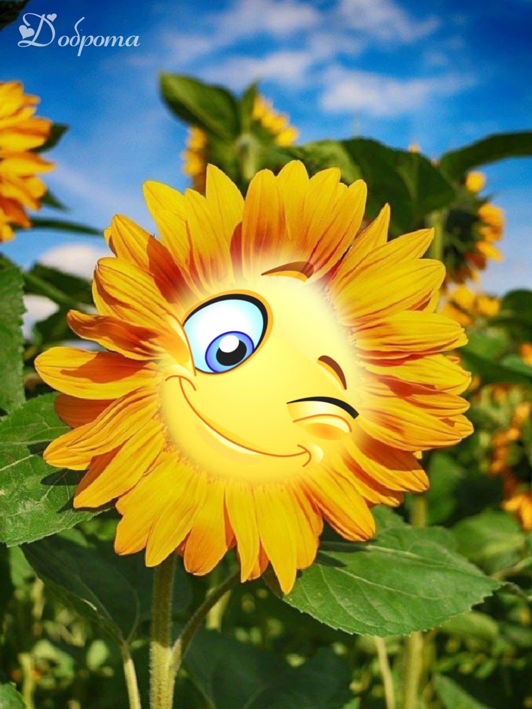 С добрым солнечным утром