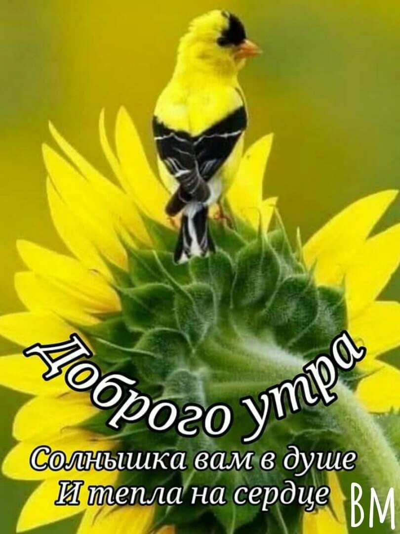 Доброе утро Татьяна
