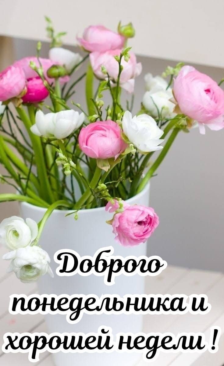 Ранункулюсы в вазе