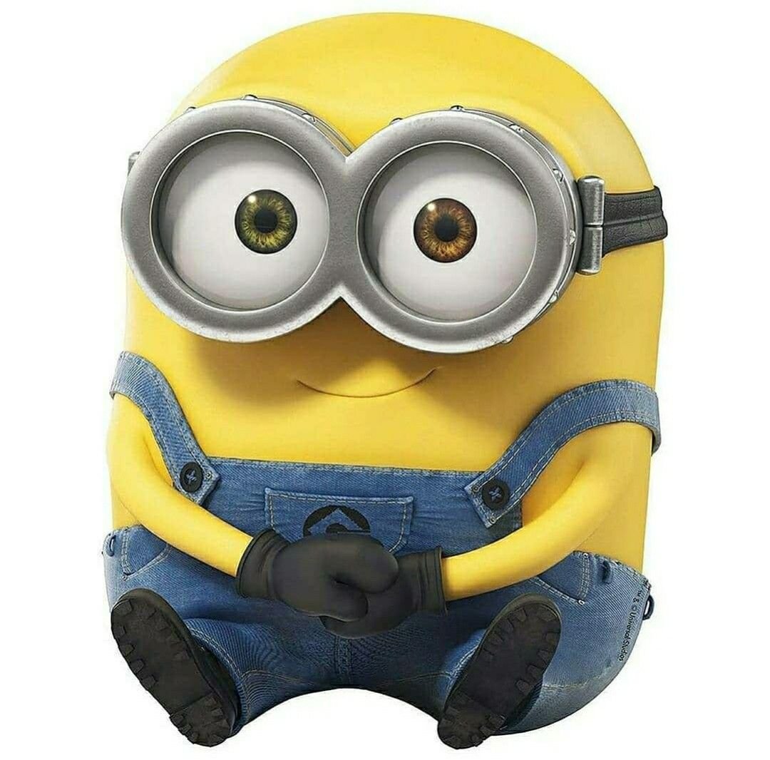 Миньон Донни