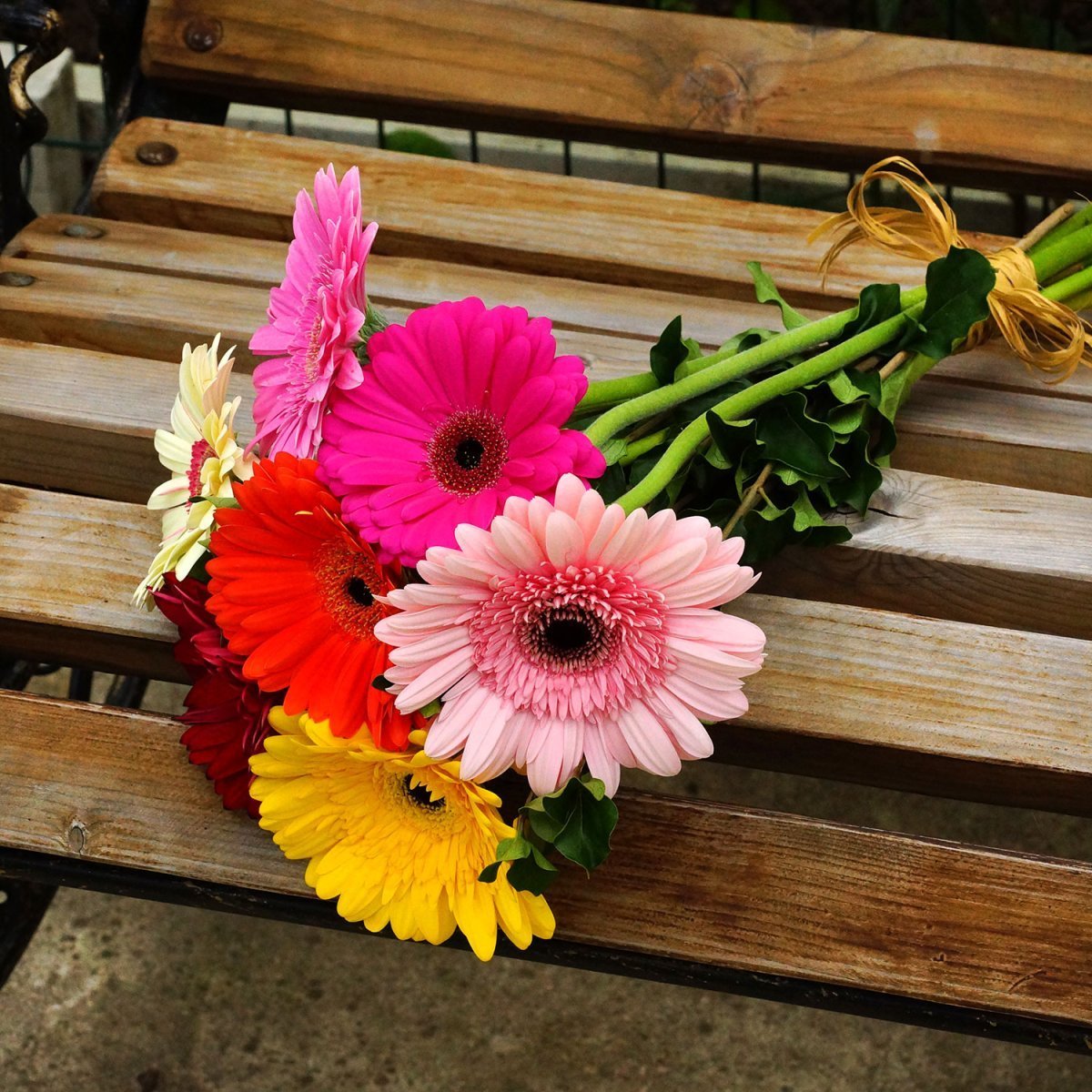 Микс гербер