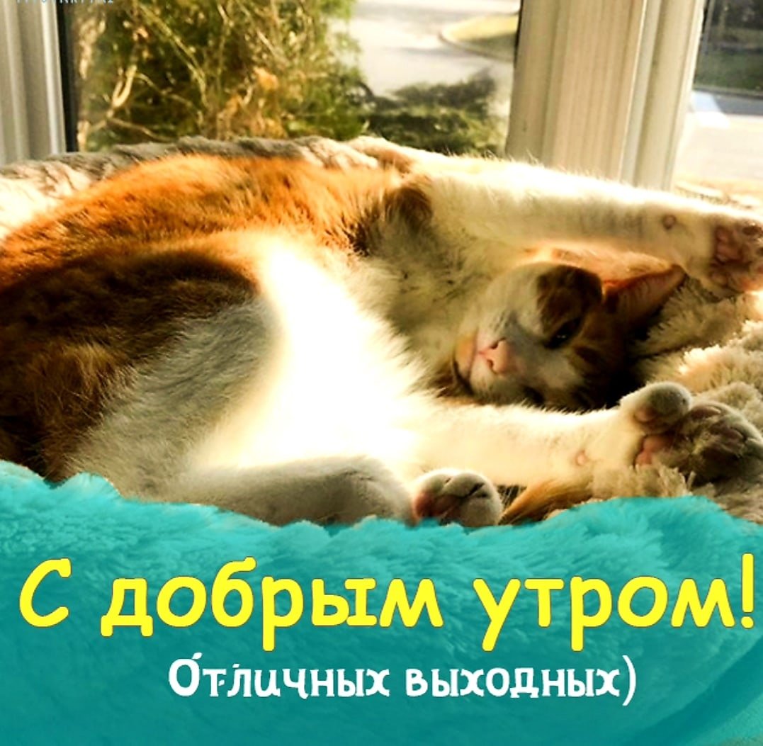 Доброе субботнее утро