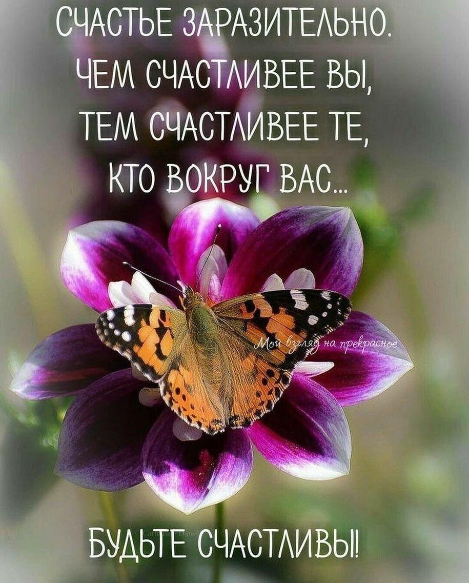 С добрым воскресным утром