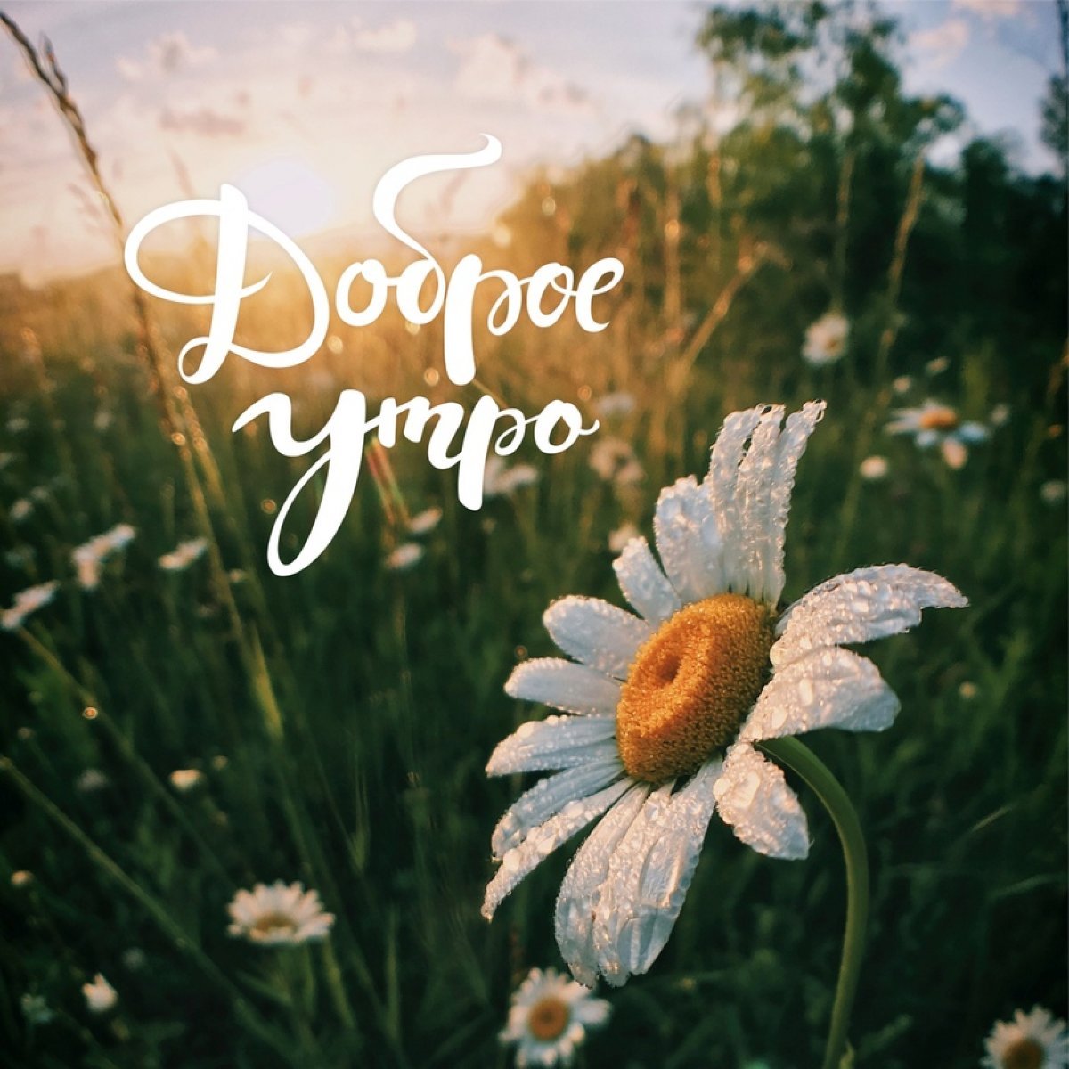 Чашка кофе с макарунами