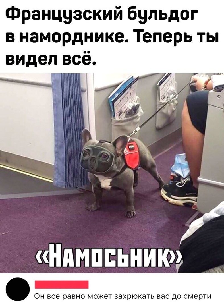 Улетные приколы с надписями