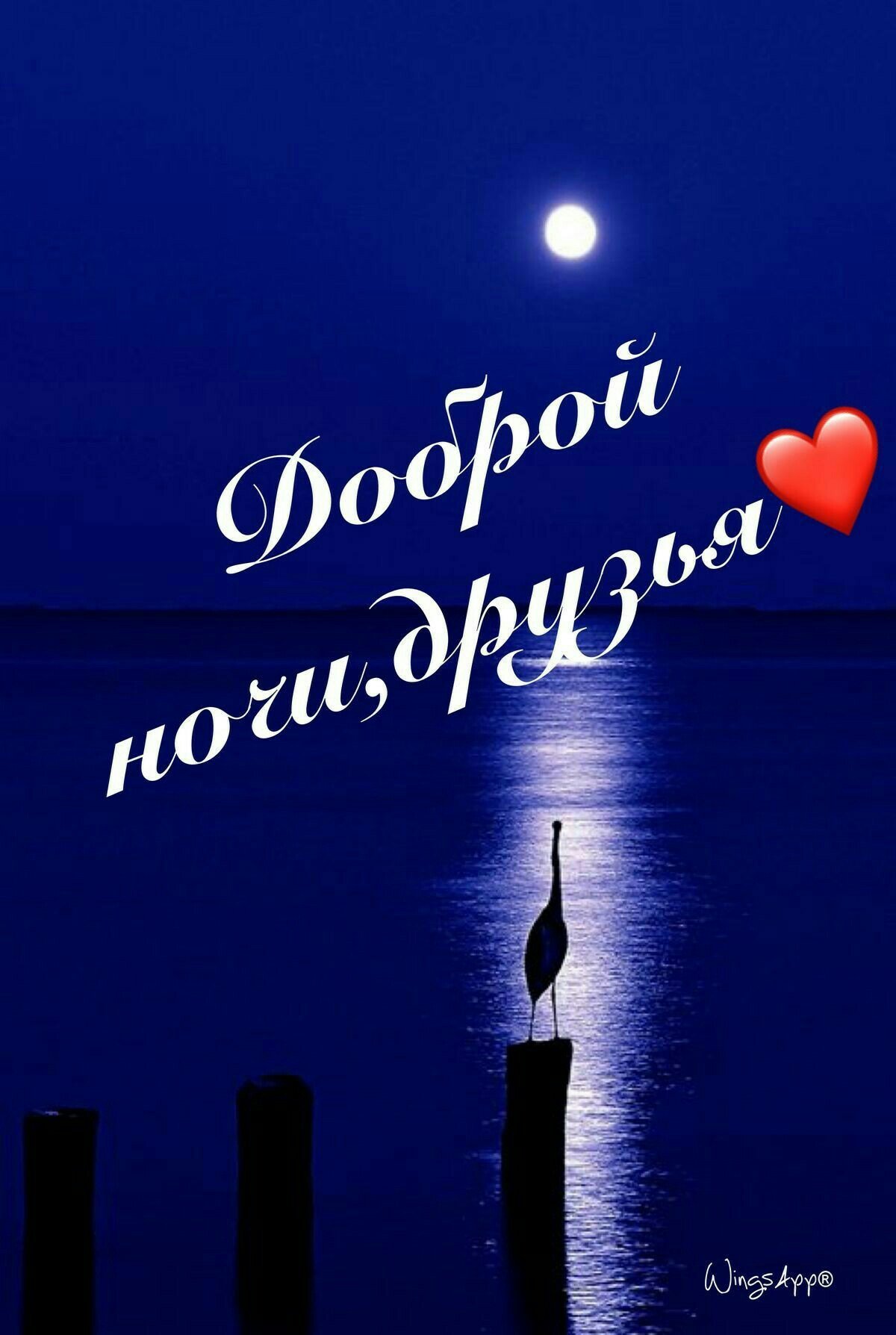 Спокойной ночи гифки