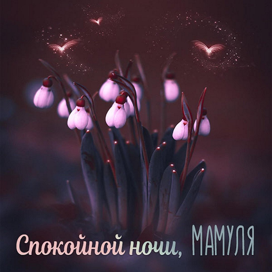 Православные пожелания спокойной ночи