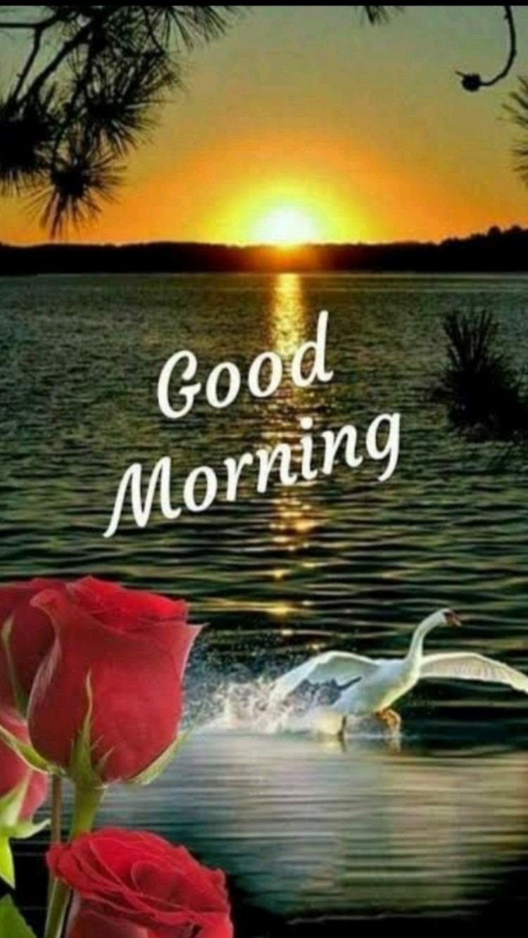 Доброй благословенной летней ночи