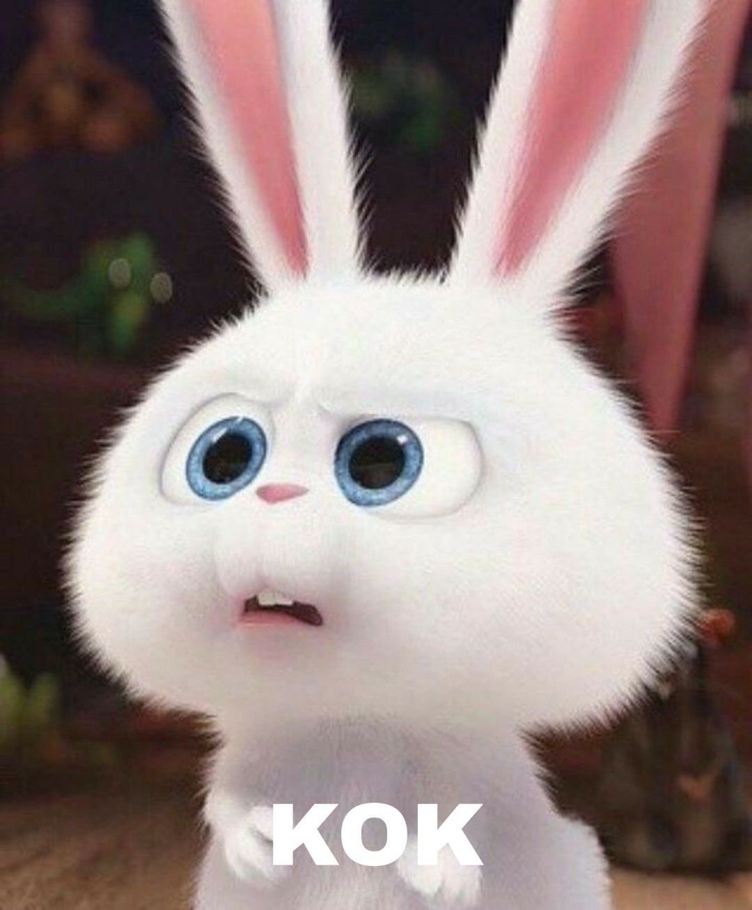 Тайная жизнь домашних животных кролик снежок