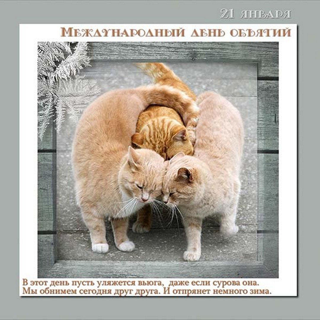 Международный день объятий открытки