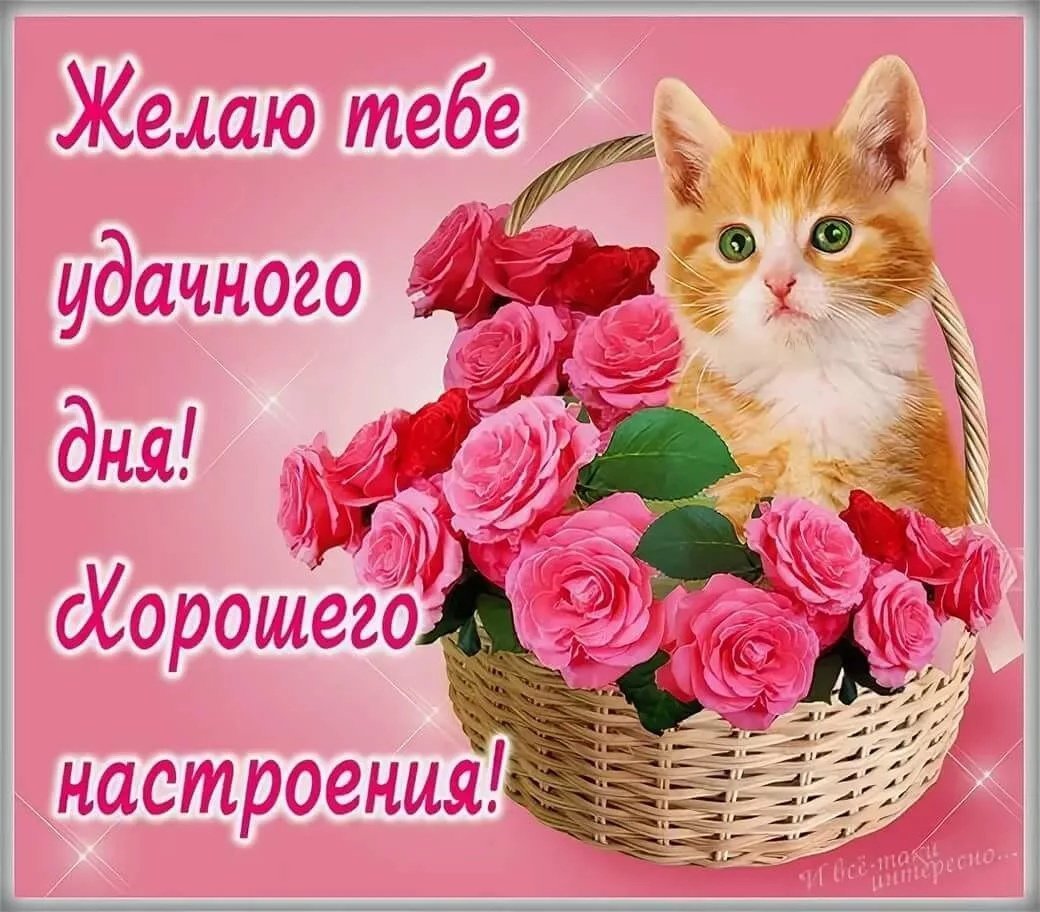 Хорошего дня и отличного настроения
