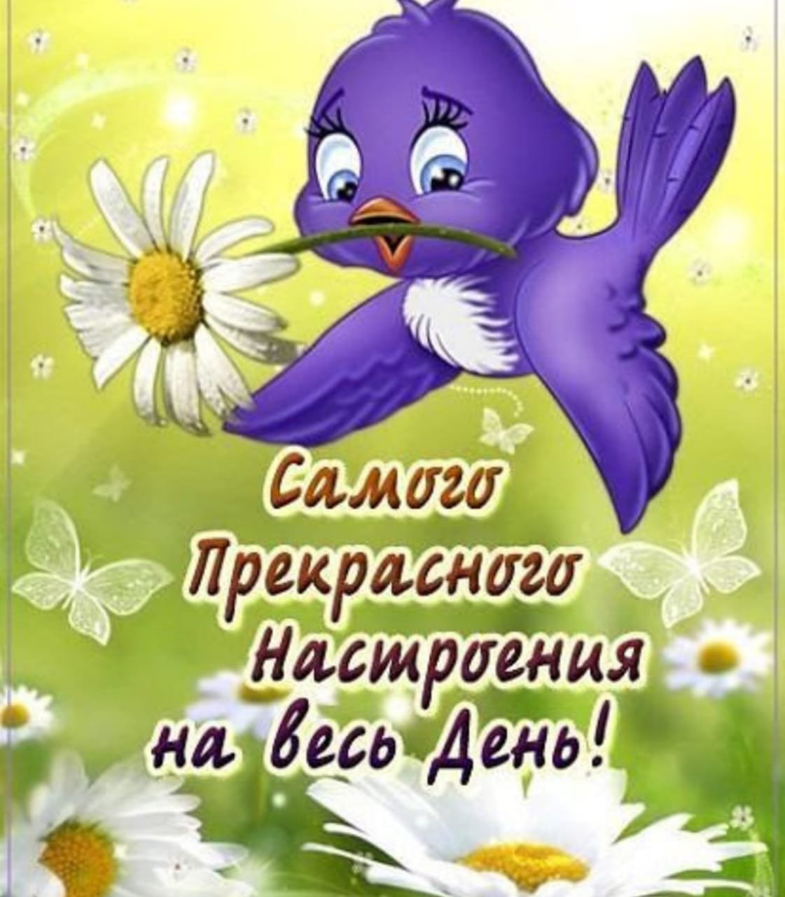 Хорошего дня птицы