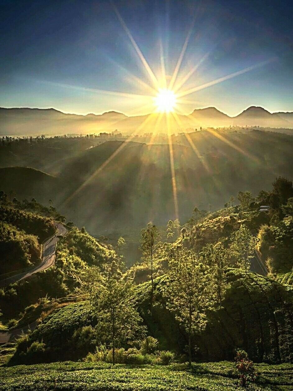 Красивое солнце