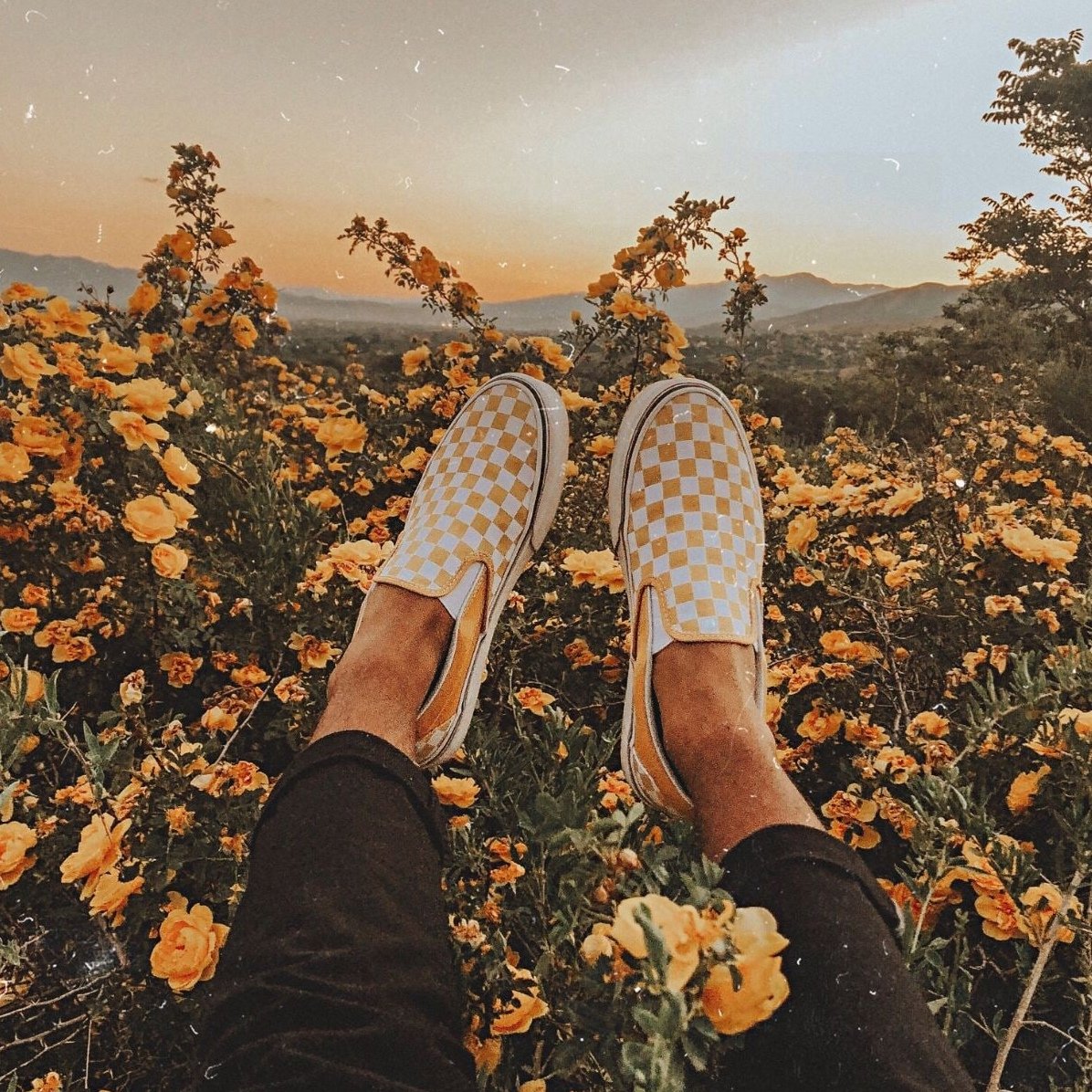 Эстетичные изображения