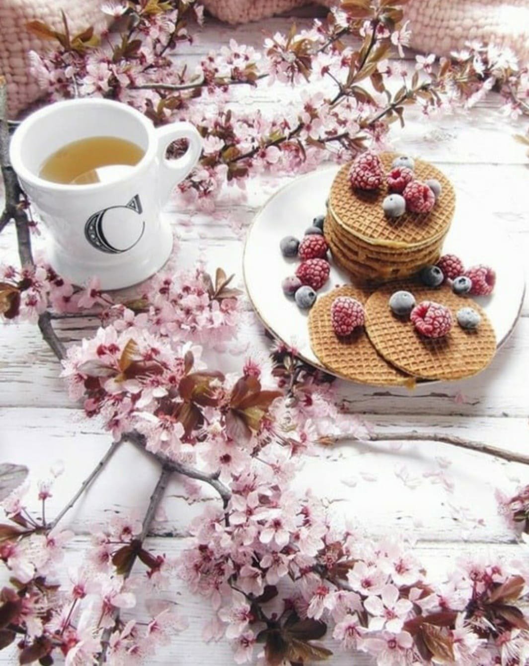 Цветы кофе и зимнее утро