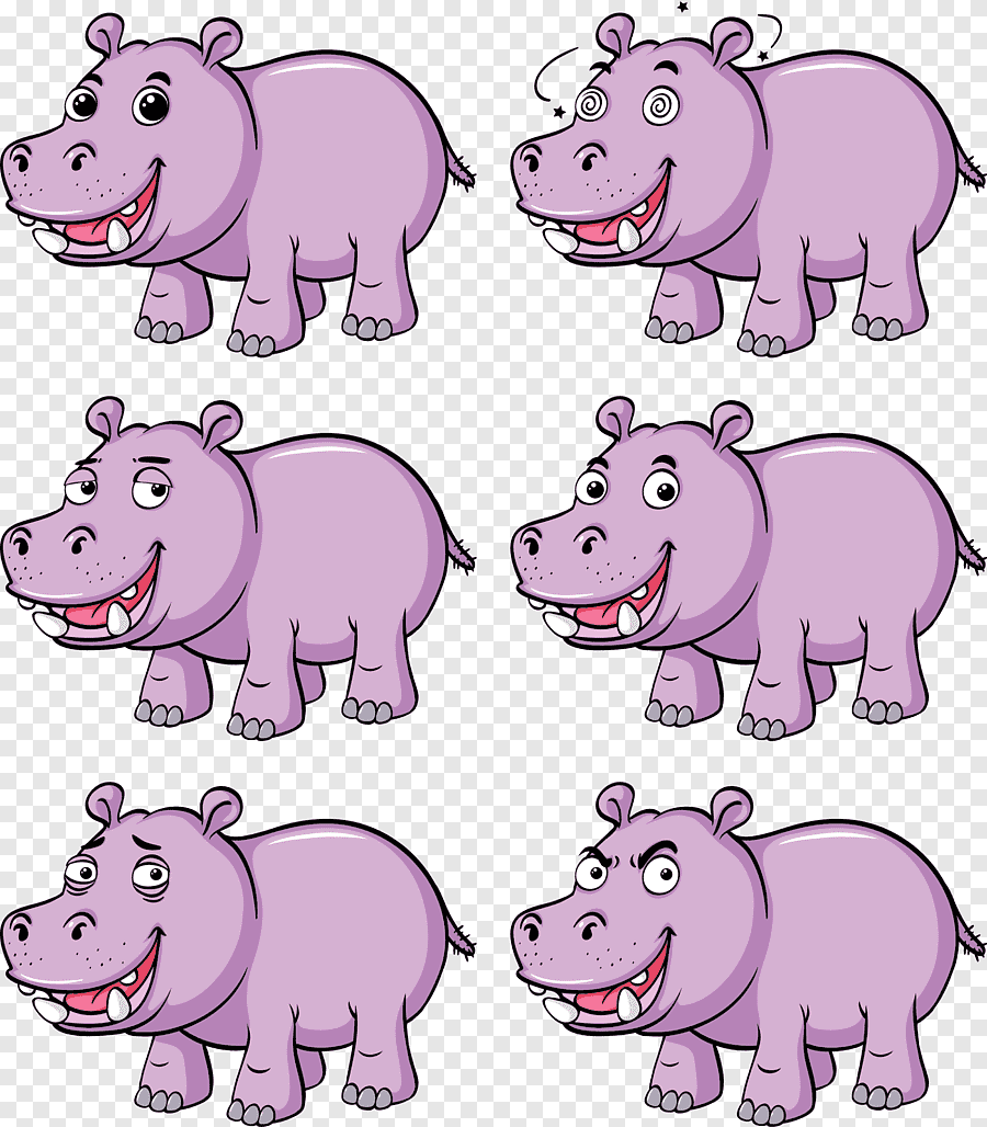 Много бегемотов картинка