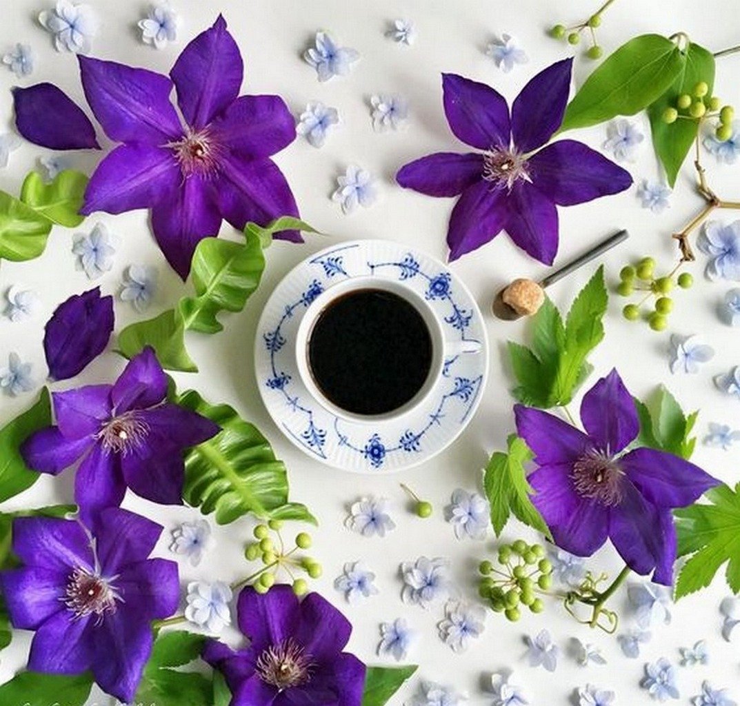 Доброе утро в фиолетовом цвете