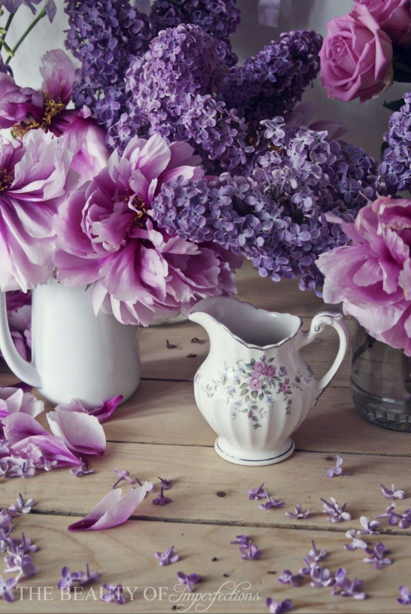 Сиреневые цветы