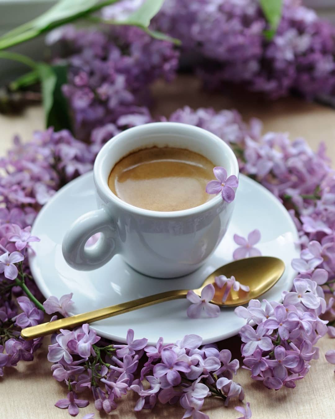 Чашка кофе и сирень