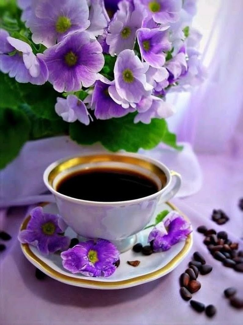 Фиолетовое утро