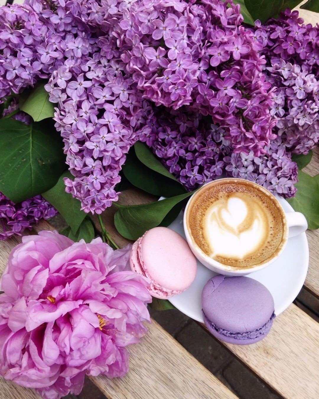 Доброе утро в сиреневом цвете