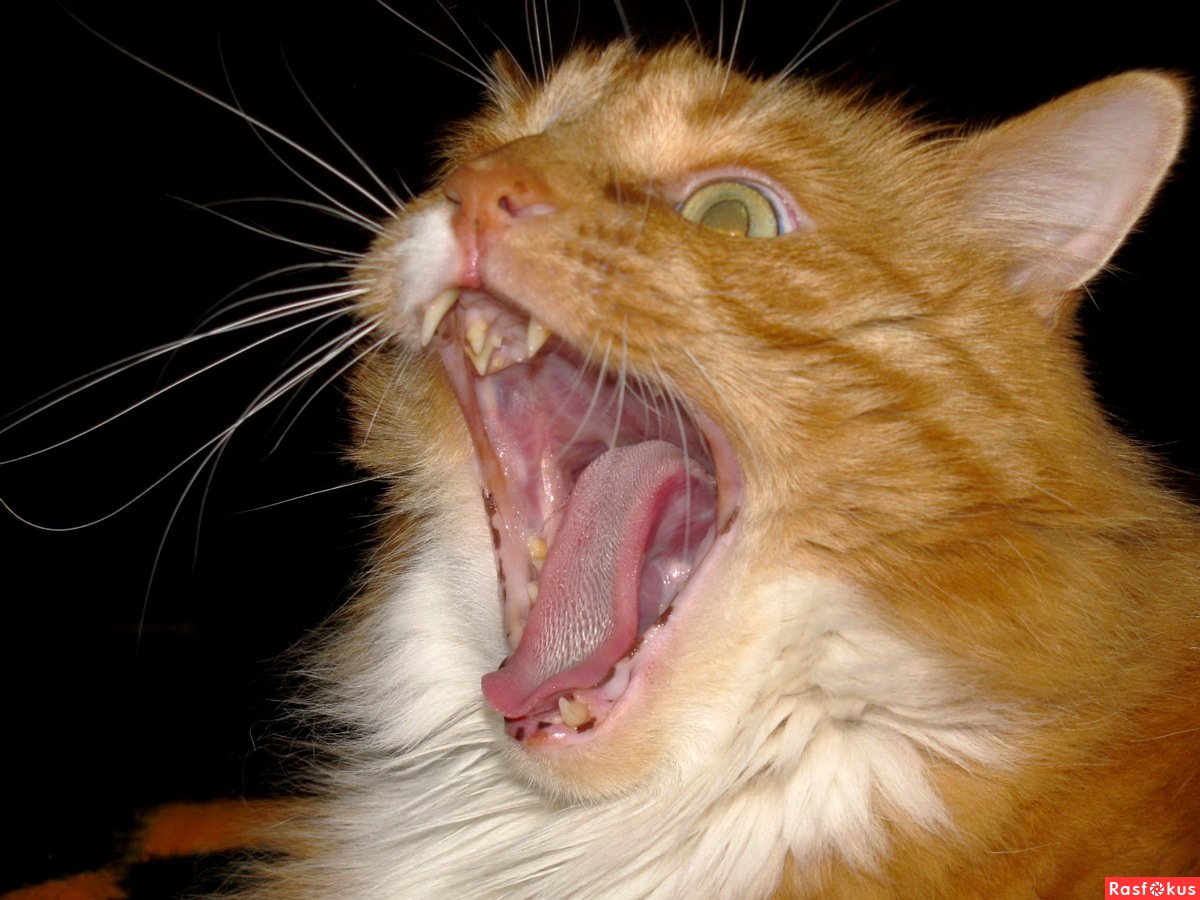 Открытки с окончанием рабочего дня