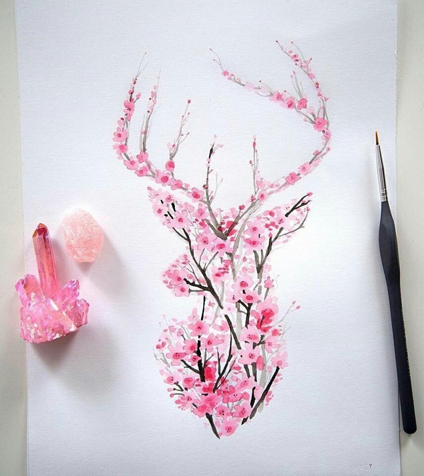 Сакура рисунок