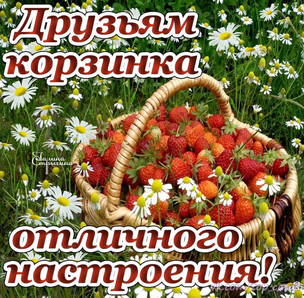 Желтые хризантемы в вазе