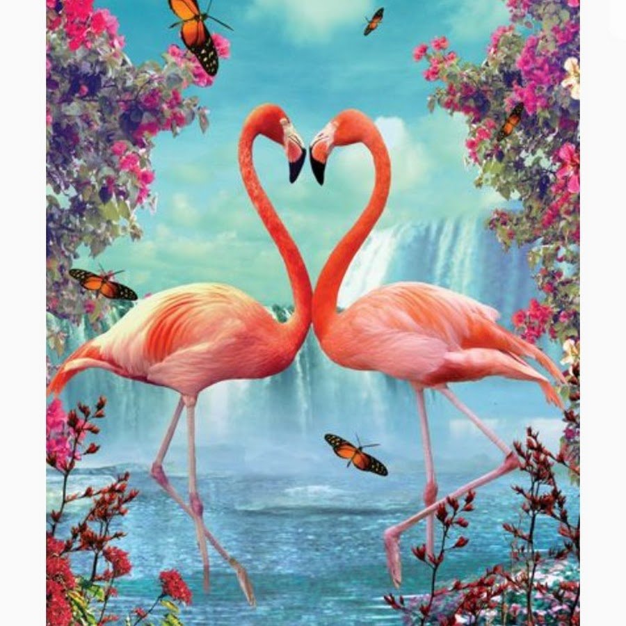 "Влюбленные Фламинго" картина