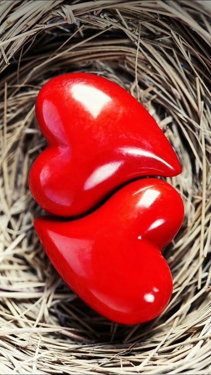 Сердце любовь