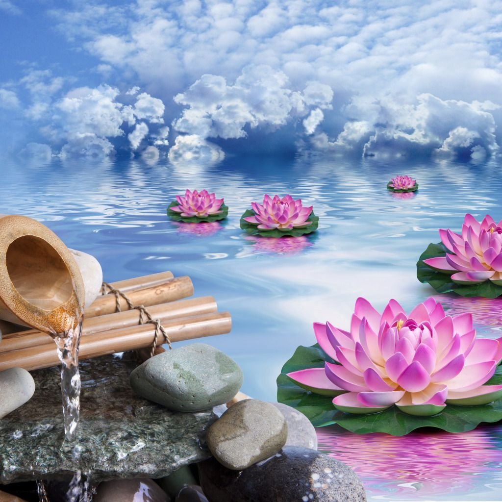 Природа релакс