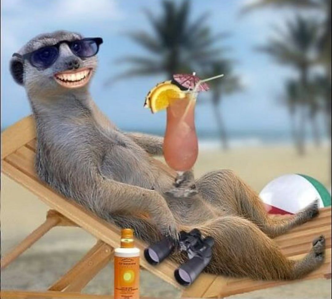 Отпуск прикол