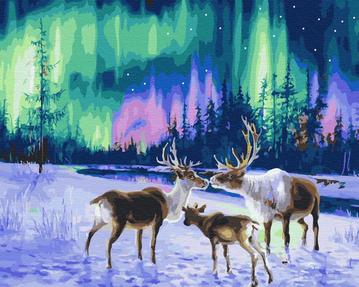 Северное сияние Kim Norlien