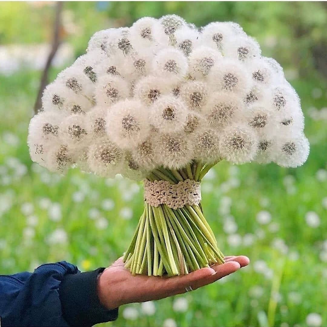 Прикольные букеты