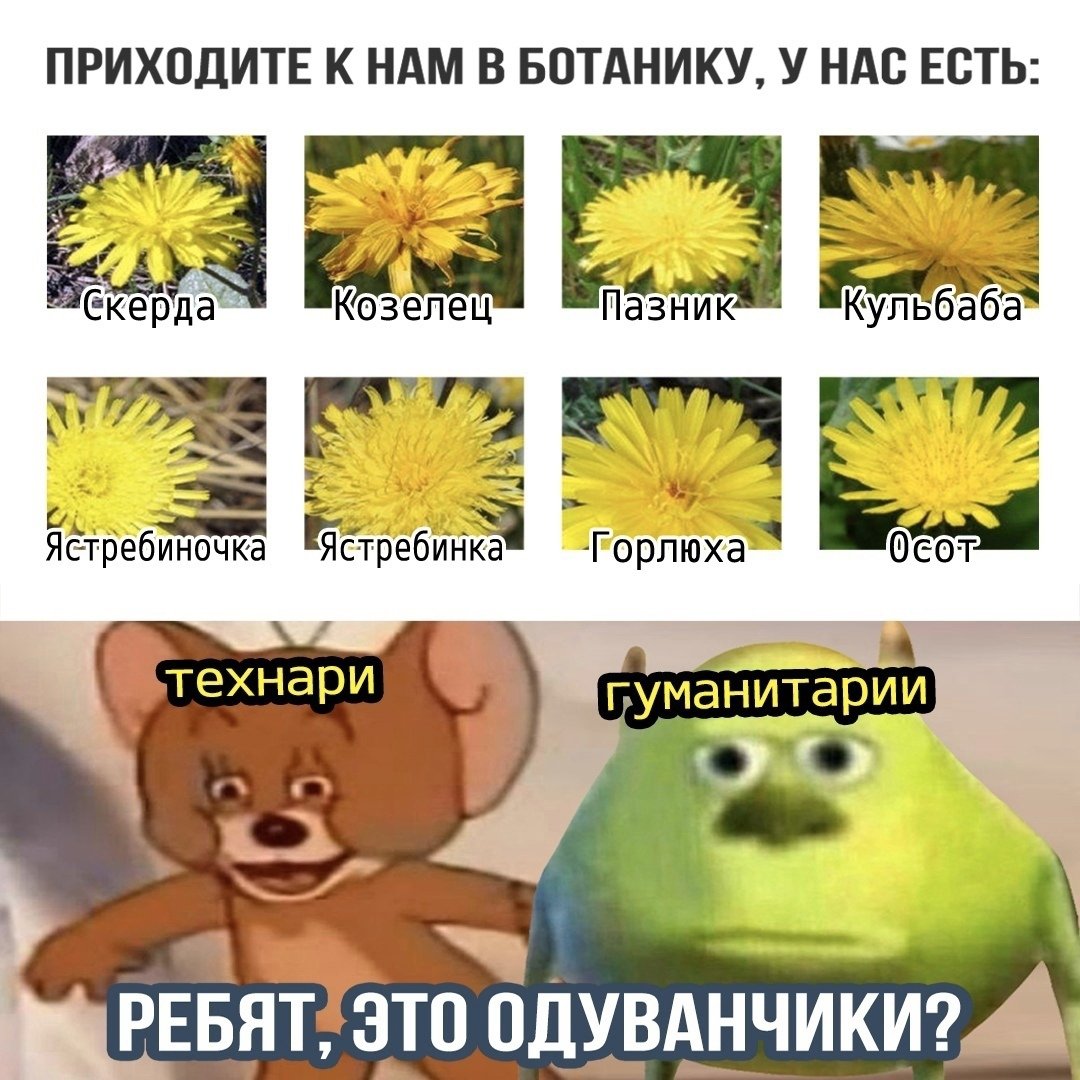 Одуванчик прикол