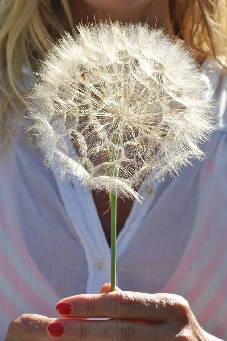 Девушка с одуванчиком