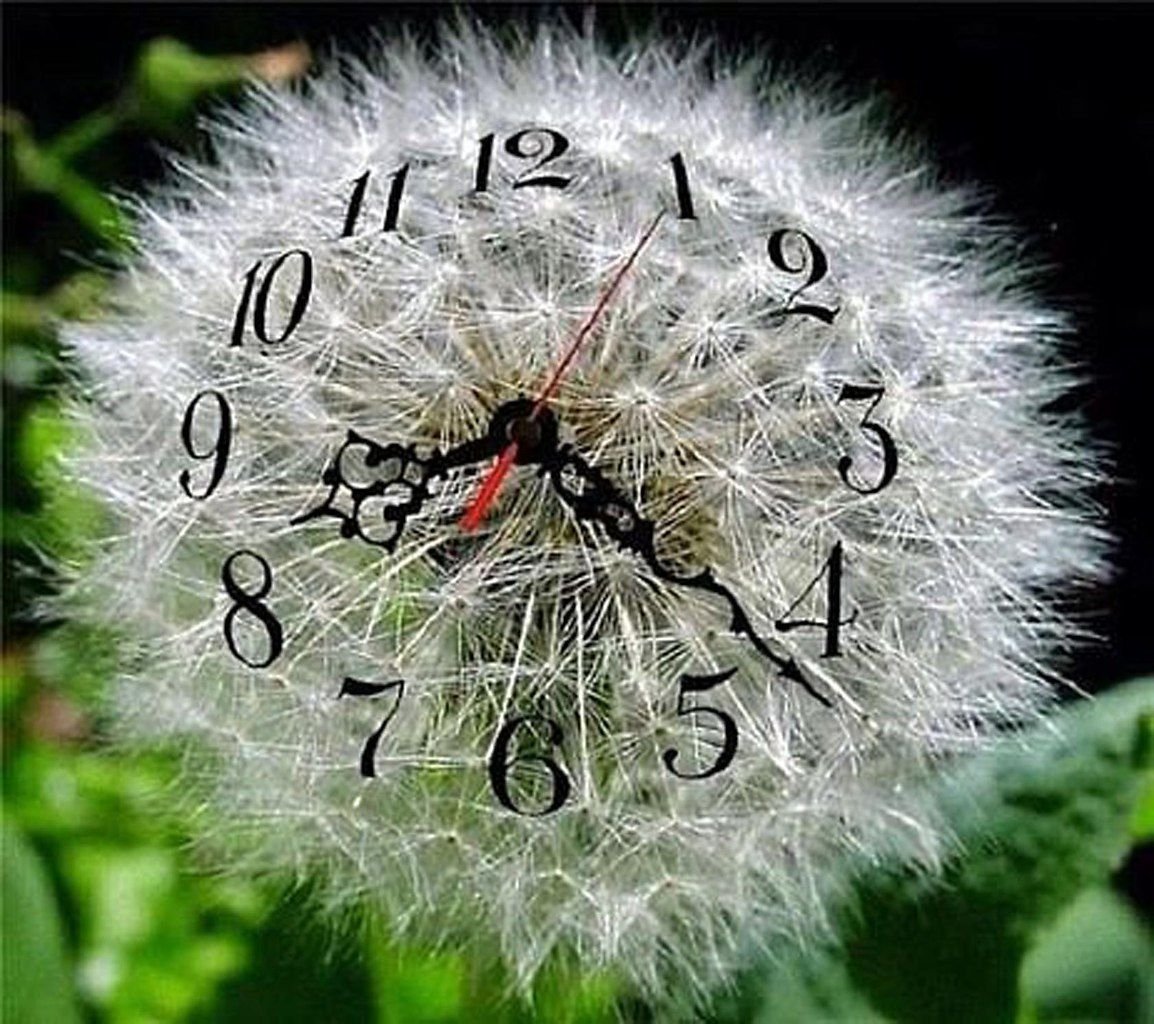 Часы в виде одуванчика
