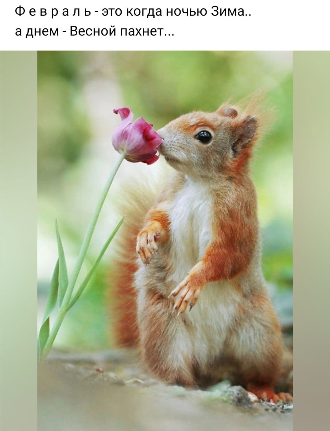 Позитивные афоризмы