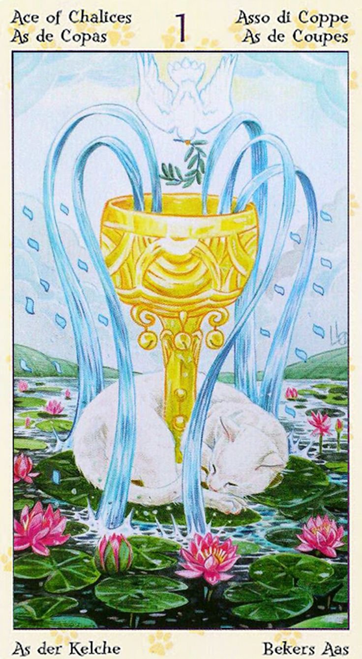 Туз кубков Таро
