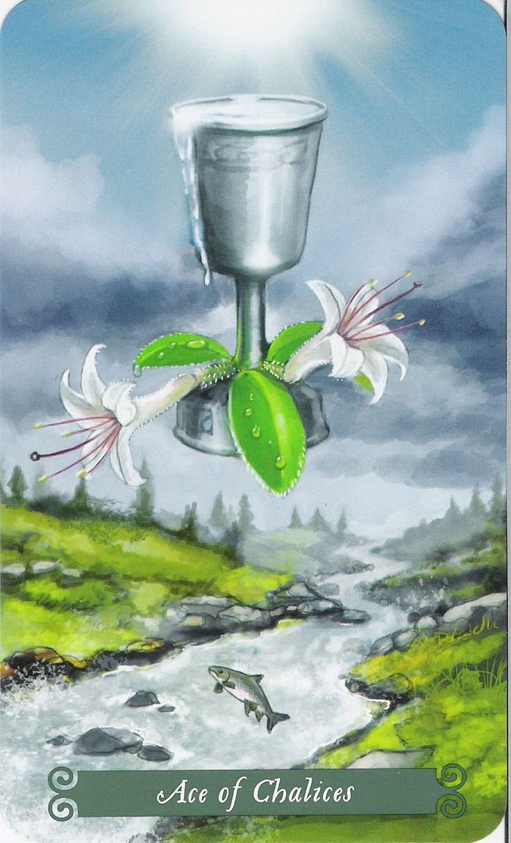 Карта Таро туз кубков