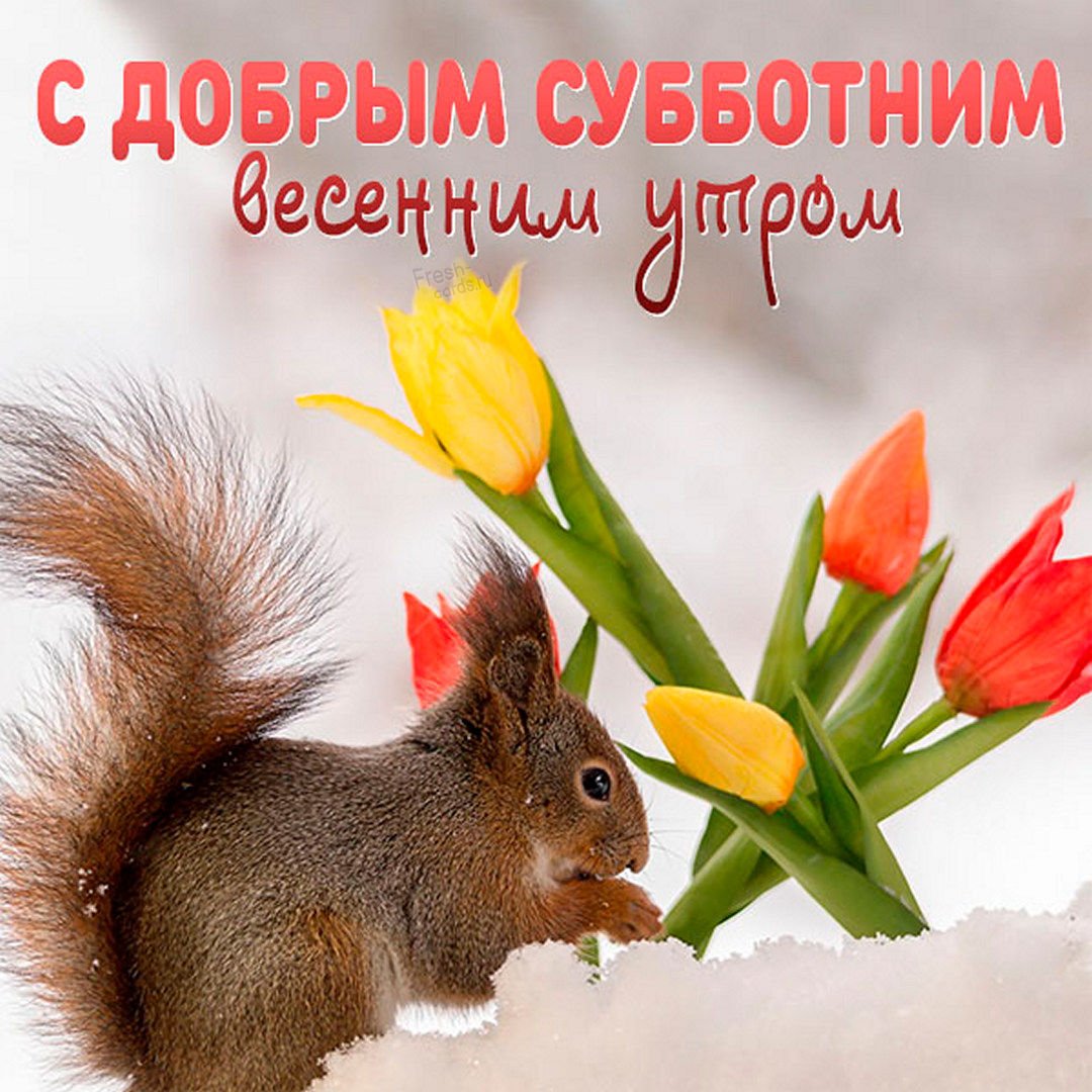 Красивые животные весной