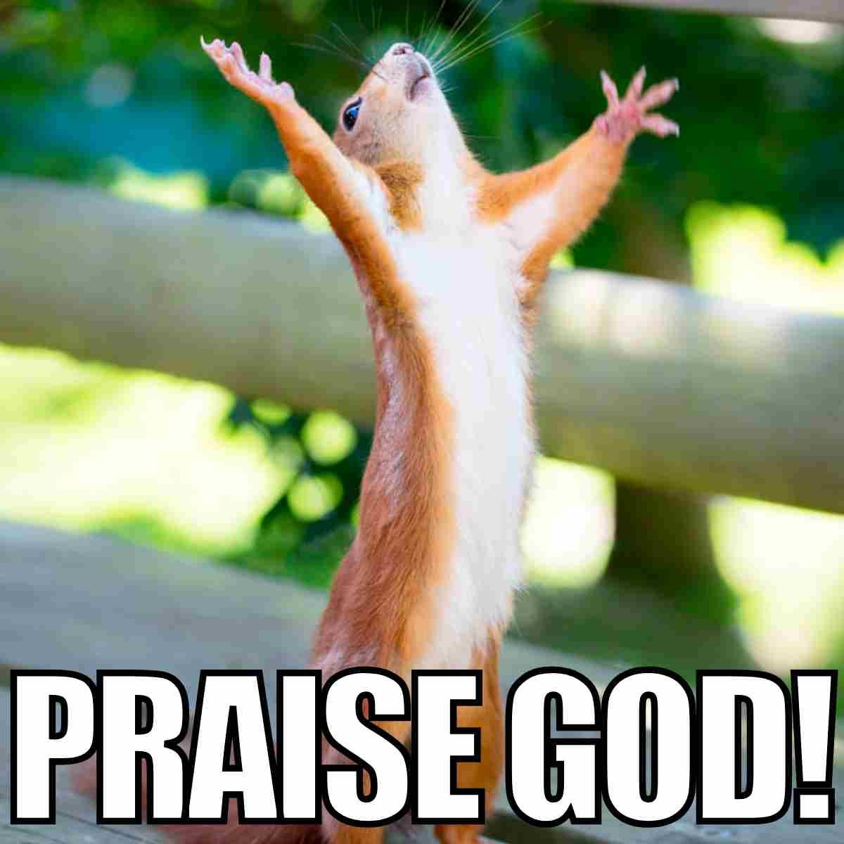 Спасибо за внимание белка